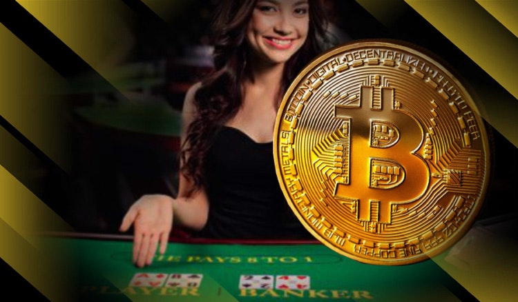 Bitcoin live baccarat casino